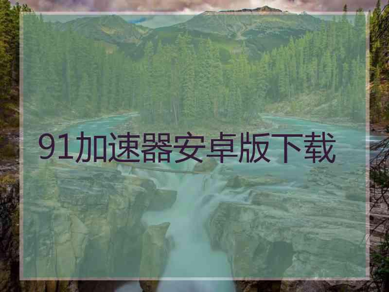 91加速器安卓版下载