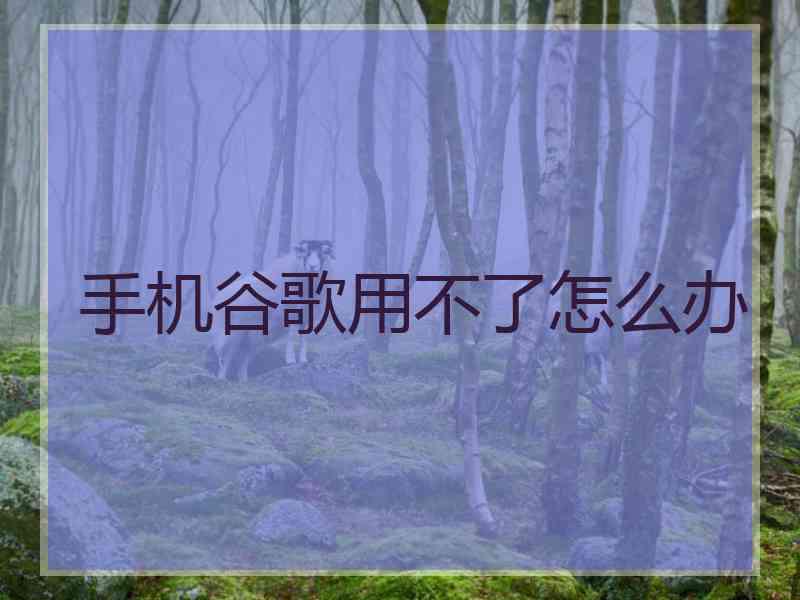 手机谷歌用不了怎么办