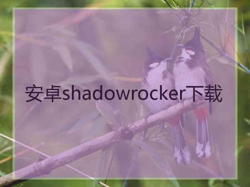 安卓shadowrocker下载