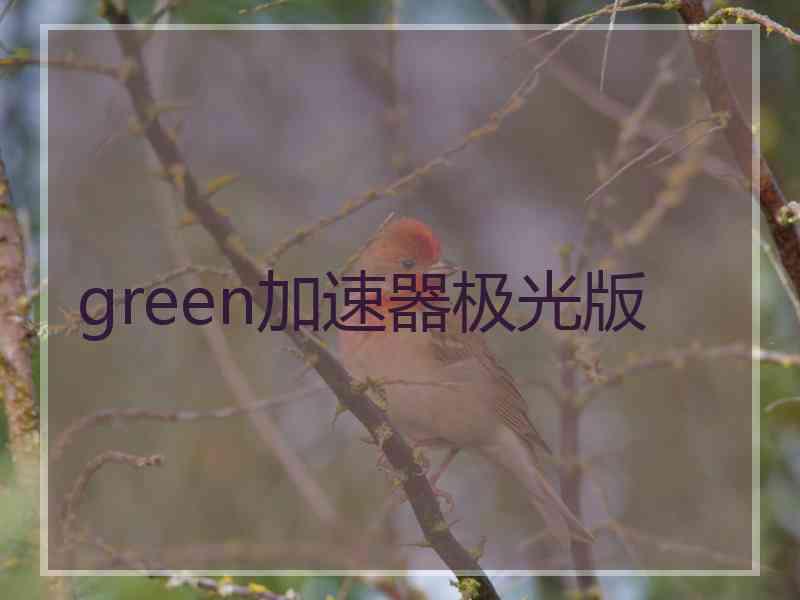 green加速器极光版