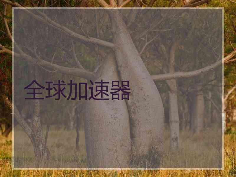 全球加速器
