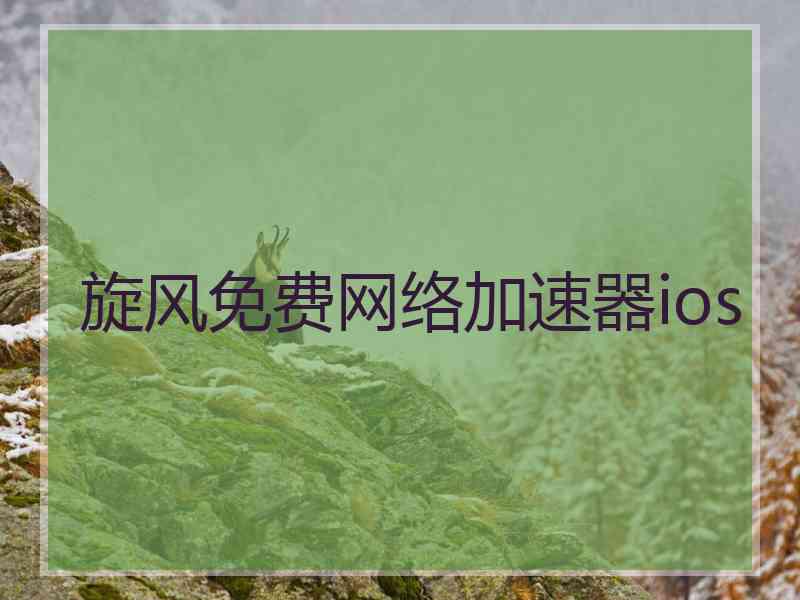 旋风免费网络加速器ios