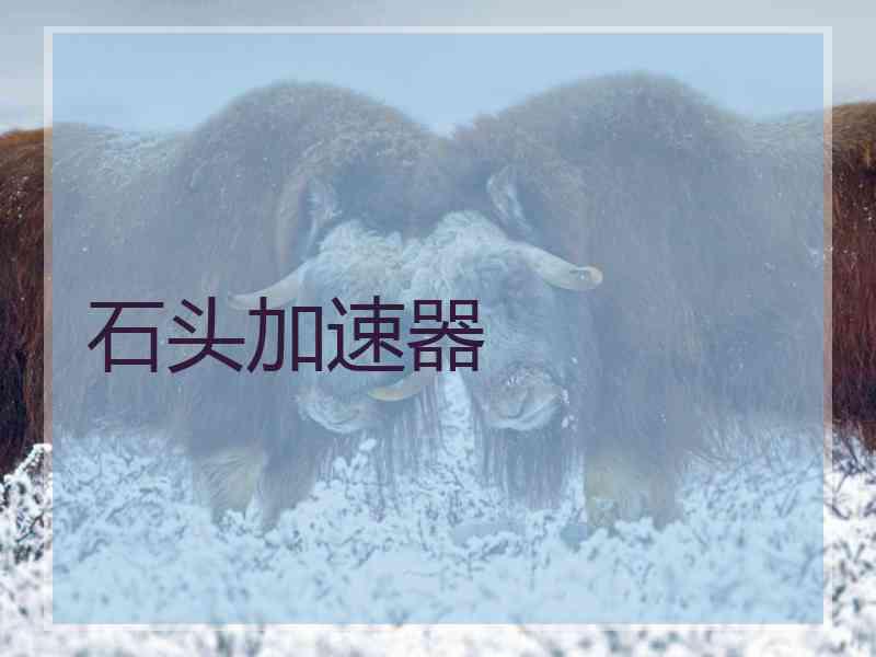 石头加速器