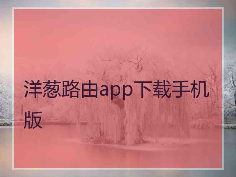 洋葱路由app下载手机版