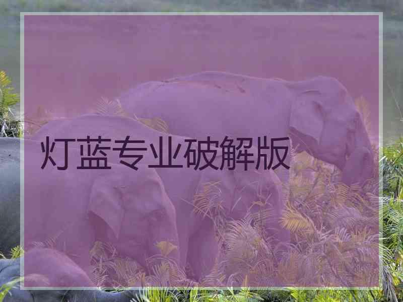 灯蓝专业破解版