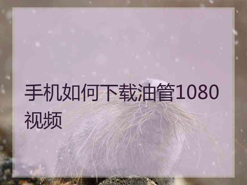 手机如何下载油管1080视频
