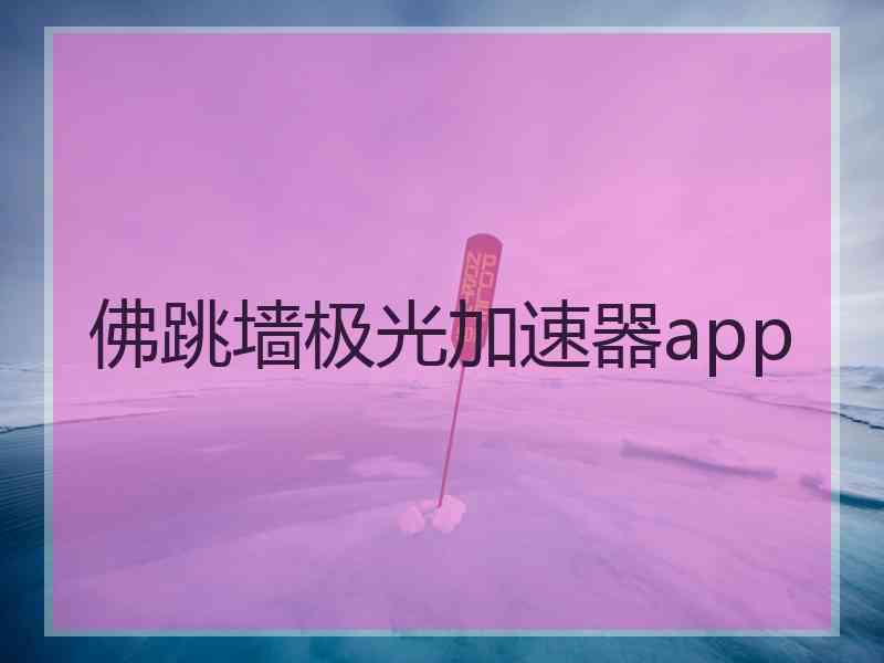 佛跳墙极光加速器app