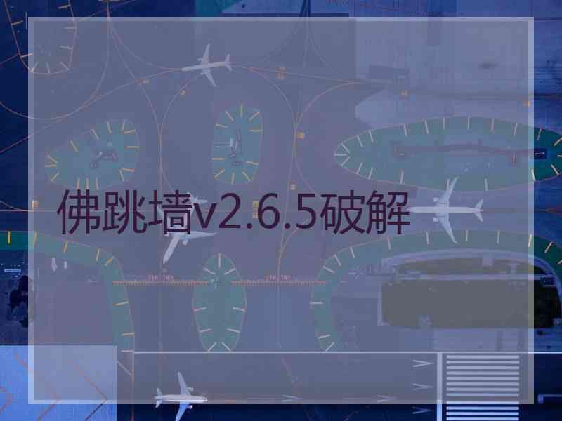 佛跳墙v2.6.5破解