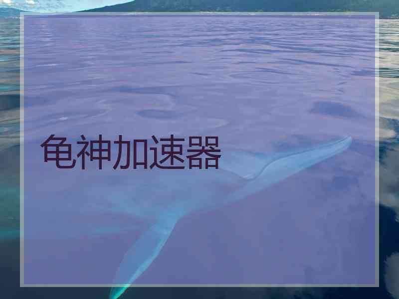 龟神加速器