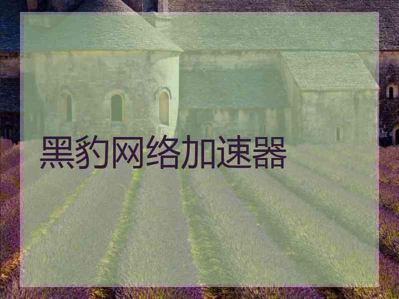 黑豹网络加速器