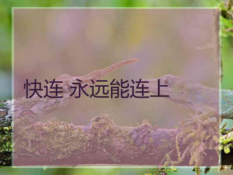 快连 永远能连上