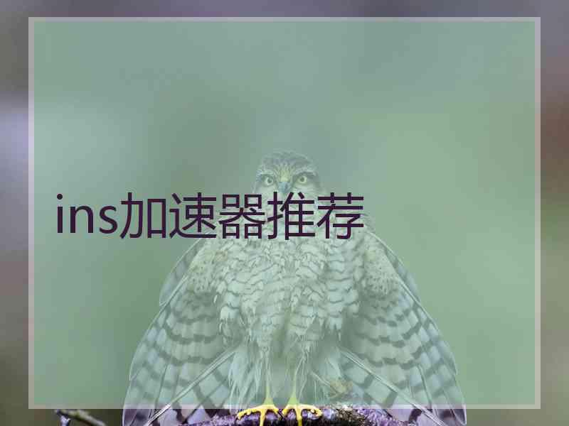 ins加速器推荐