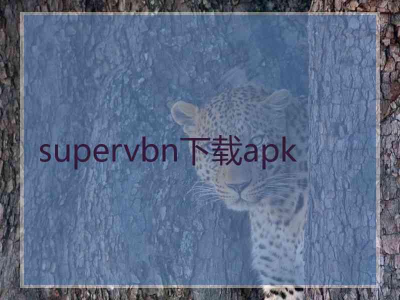 supervbn下载apk