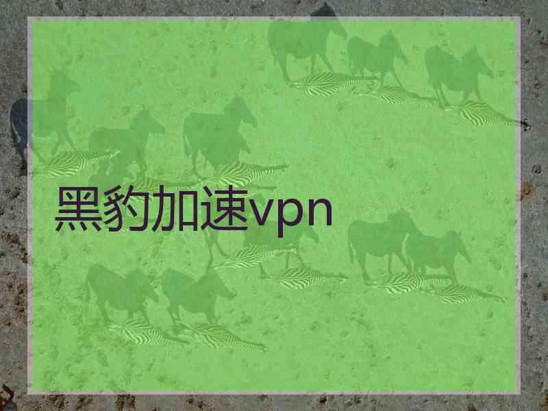 黑豹加速vpn