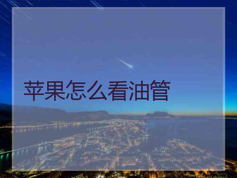 苹果怎么看油管