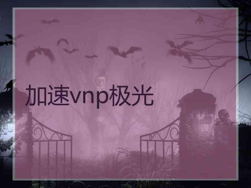 加速vnp极光
