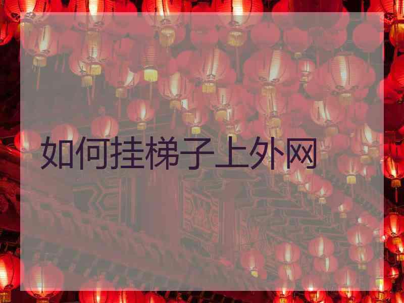 如何挂梯子上外网