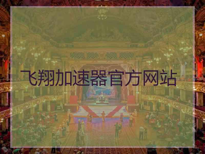 飞翔加速器官方网站