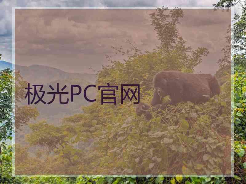 极光PC官网
