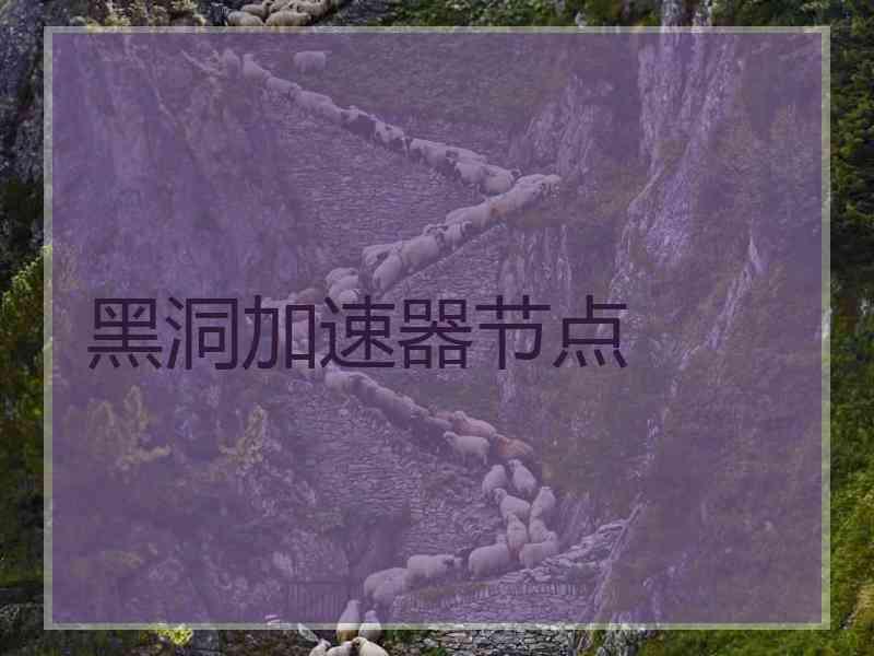 黑洞加速器节点