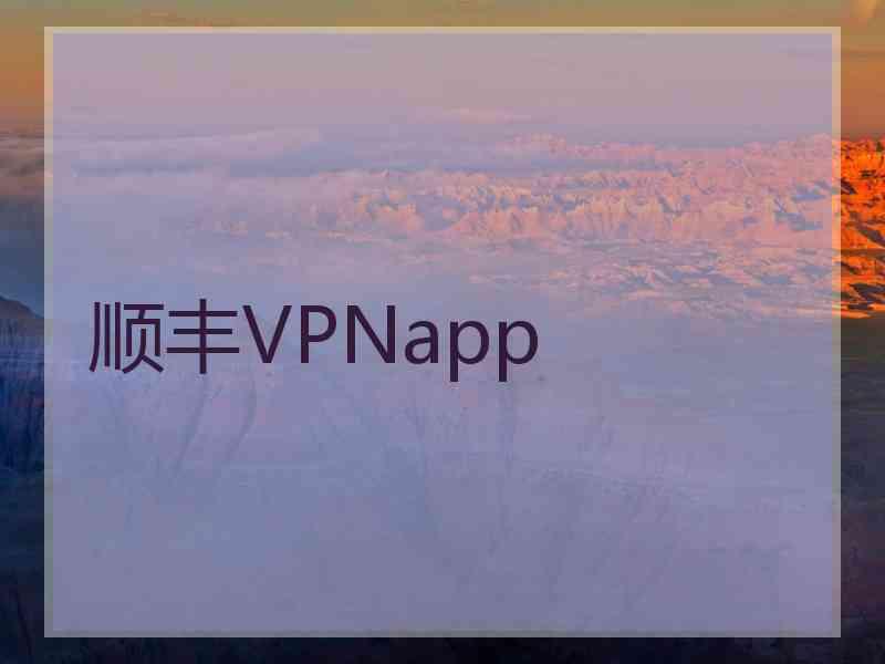 顺丰VPNapp
