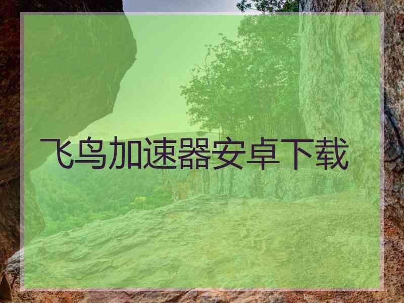 飞鸟加速器安卓下载