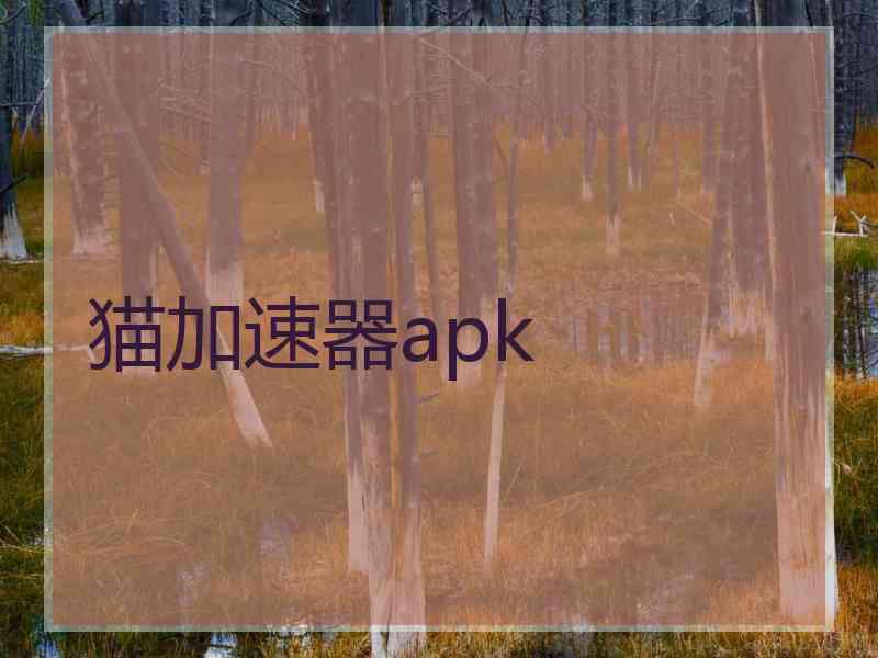 猫加速器apk