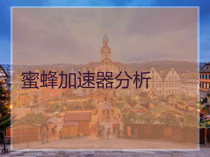 蜜蜂加速器分析