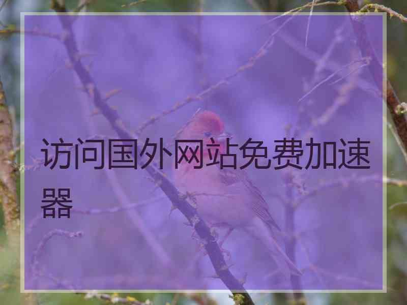 访问国外网站免费加速器