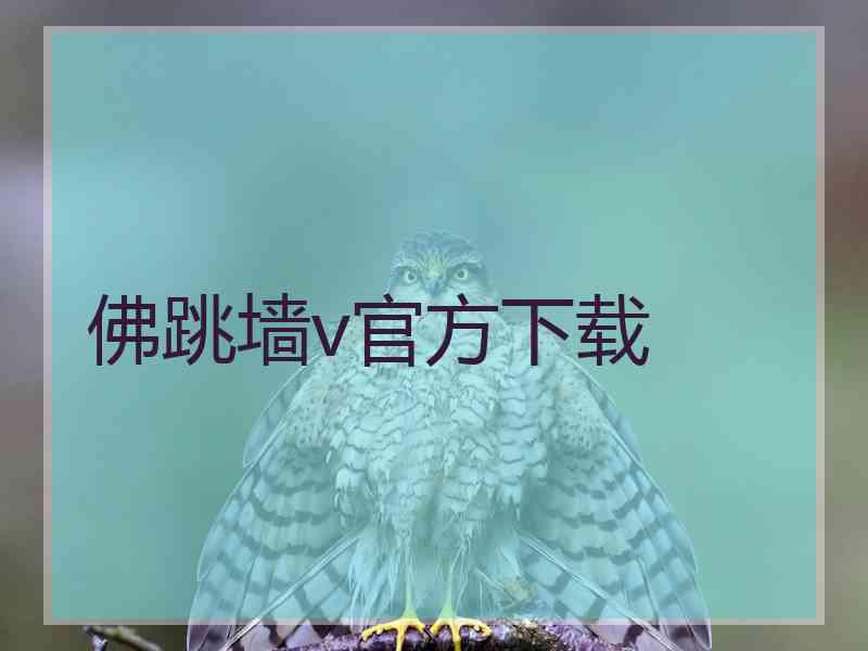 佛跳墙v官方下载