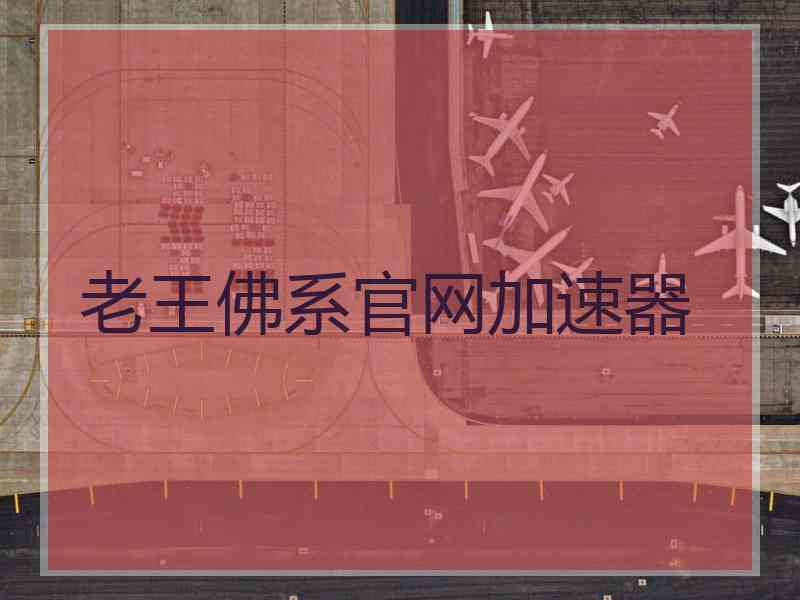 老王佛系官网加速器
