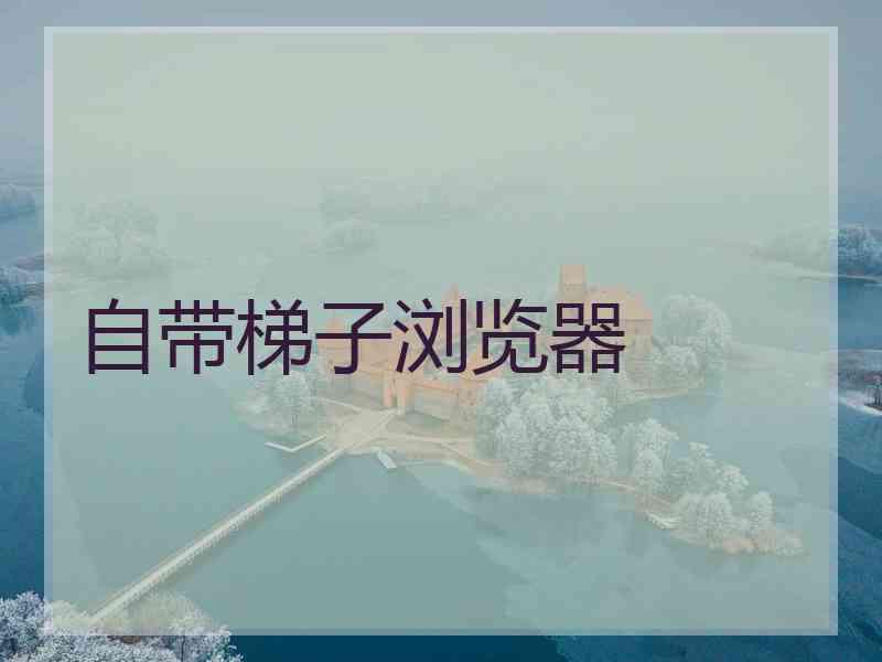 自带梯子浏览器