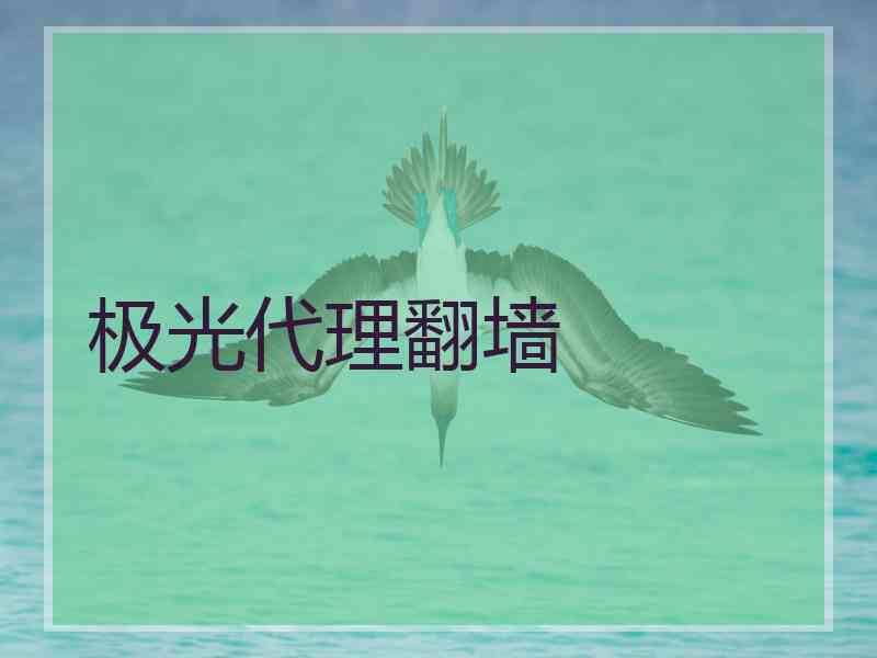 极光代理翻墙