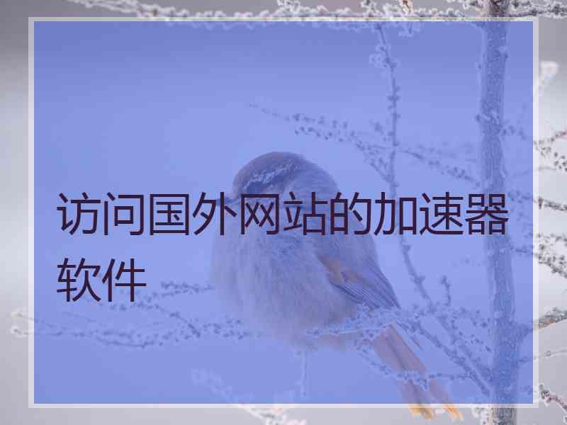 访问国外网站的加速器软件