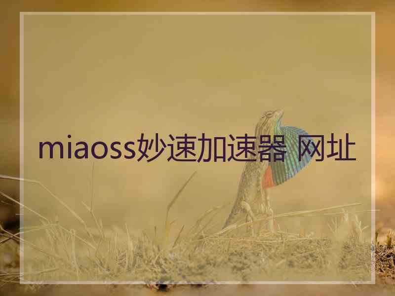 miaoss妙速加速器 网址