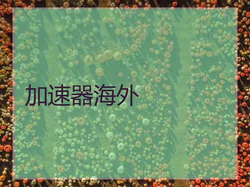 加速器海外