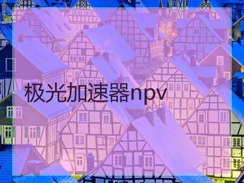 极光加速器npv