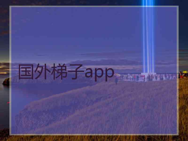 国外梯子app