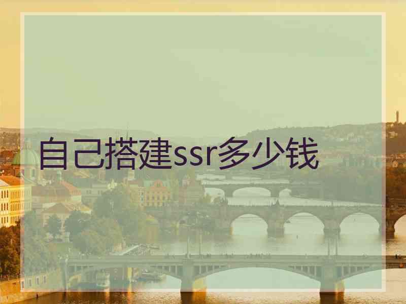 自己搭建ssr多少钱