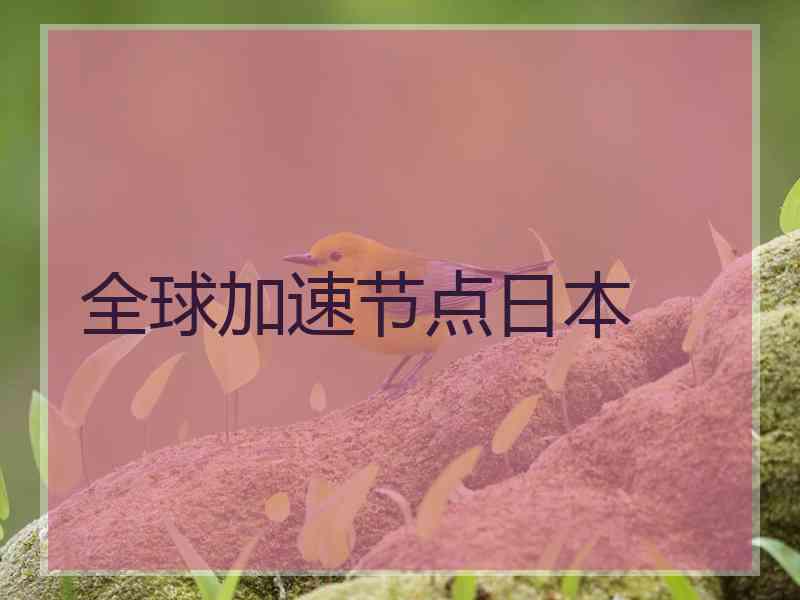 全球加速节点日本