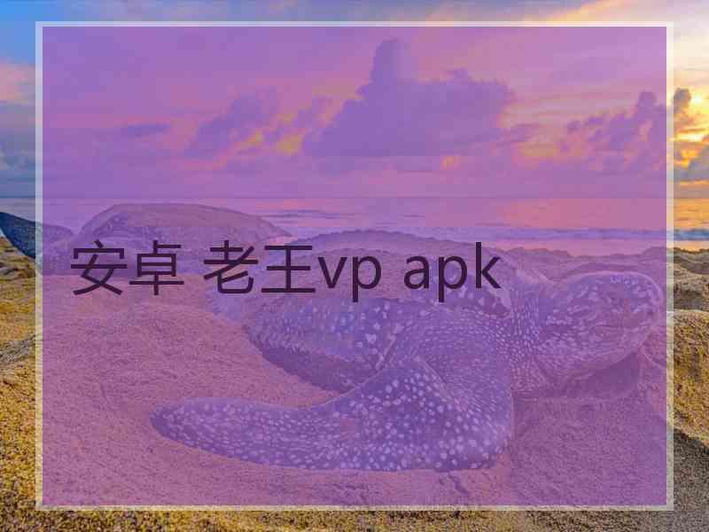 安卓 老王vp apk