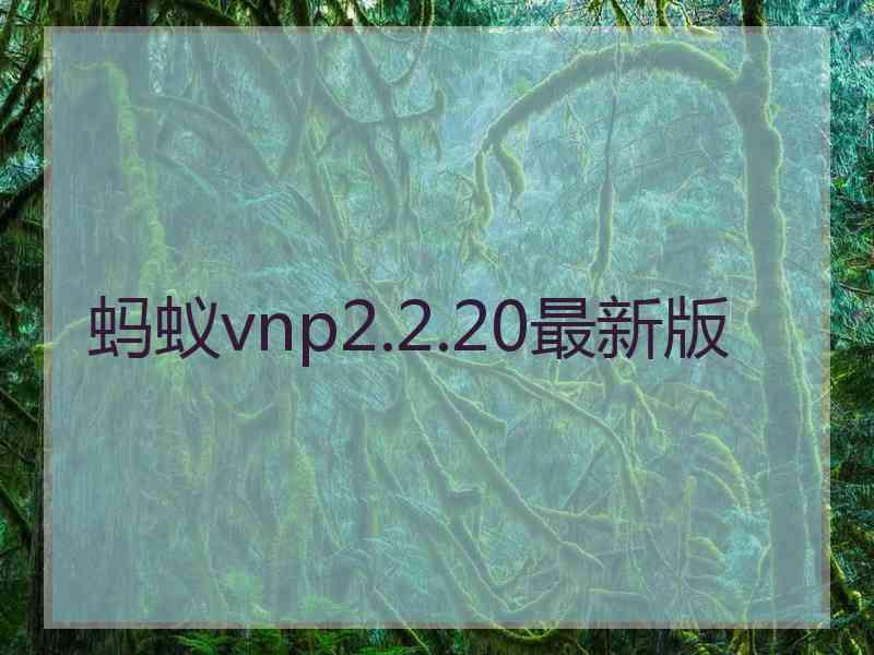 蚂蚁vnp2.2.20最新版