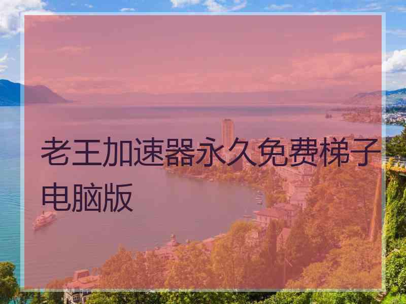老王加速器永久免费梯子电脑版