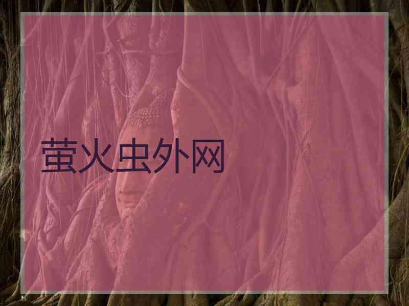 萤火虫外网