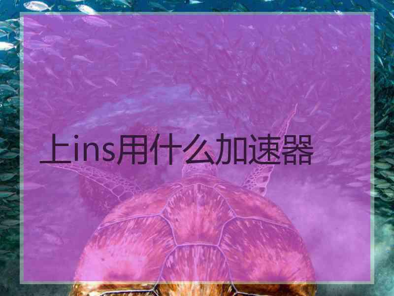 上ins用什么加速器
