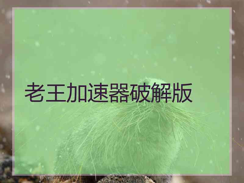 老王加速器破解版