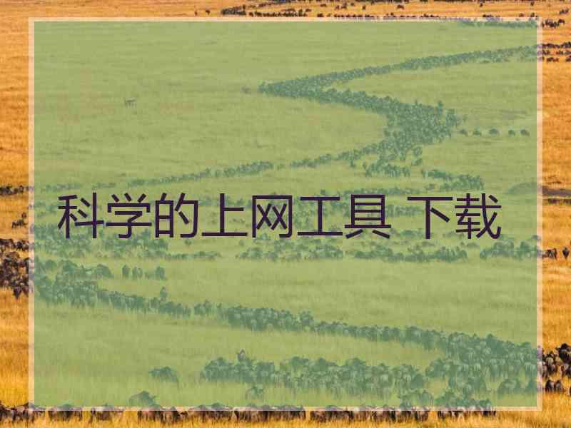 科学的上网工具 下载