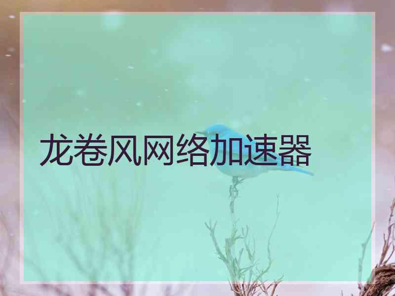 龙卷风网络加速器