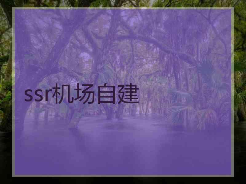 ssr机场自建