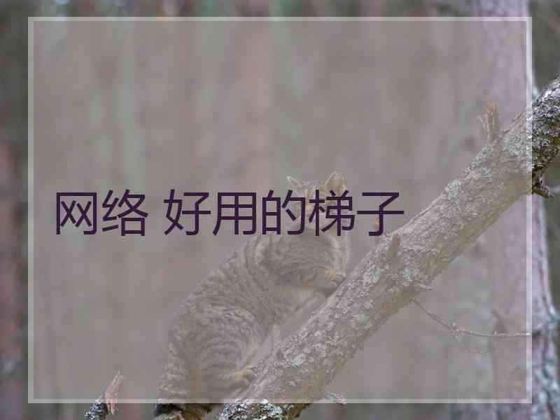 网络 好用的梯子